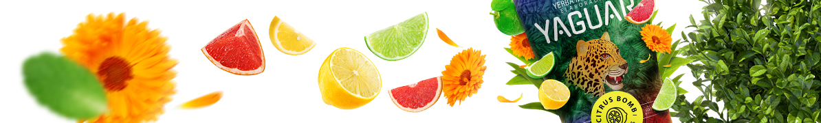 Yaguar Citrus Bomb - Baner