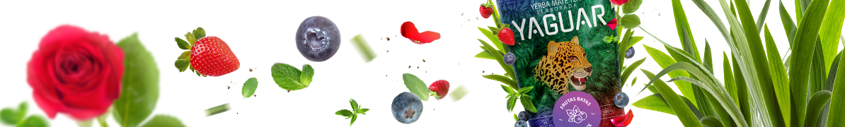 Yaguar Frutas Bayas - Baner