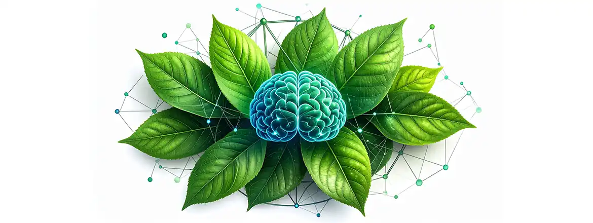 Τι κάνει η κατανάλωση yerba mate; Πώς επηρεάζει τη συγκέντρωση;