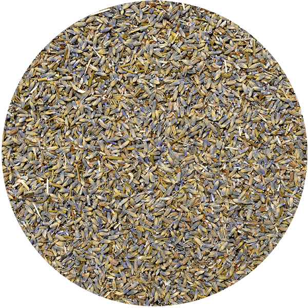 Mary Rose - Λεβάντα 25 g (βιολογική)