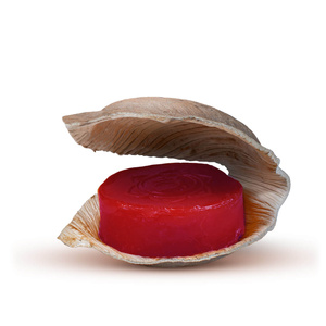 Σαπούνι Holy Lama - Τσάκρα Ρίζα