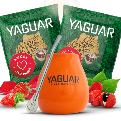 Σετ Yerba Mateo + Bombilla για να ξεκινήσετε