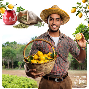 El Fuego Menta Limon 0,5 κιλά