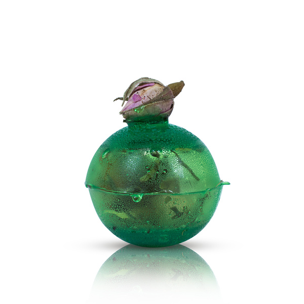 Mary Rose – Sunny Garden βομβίδα τσαγιού (mini)