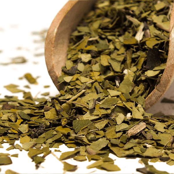 Yerbera – Μεταλλικό κουτί + Verde Mate Green Organica 0,5 κιλά