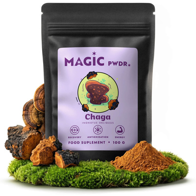 Magic Pwdr – Chaga 100 γρ.