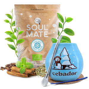 Χειμερινό σετ εκκίνησης Yerba Soul Mate Frosty 500g