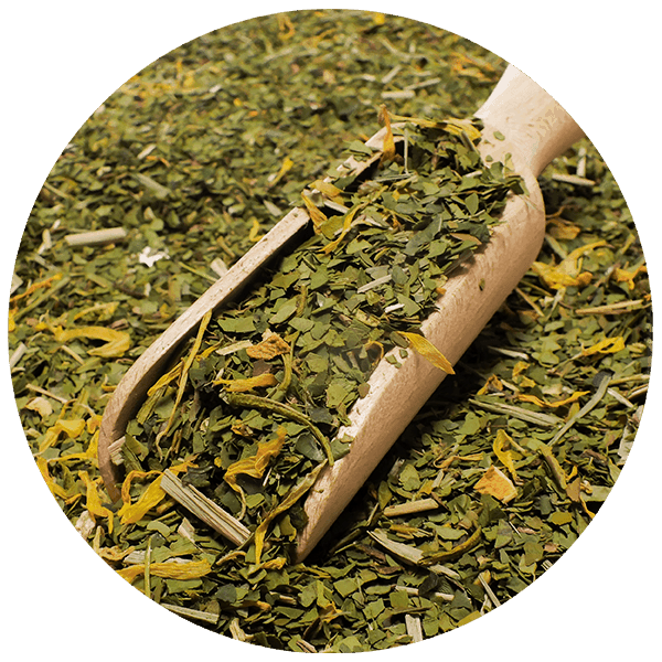 Trio Yerba Verde Mate στο START για αρχάριους
