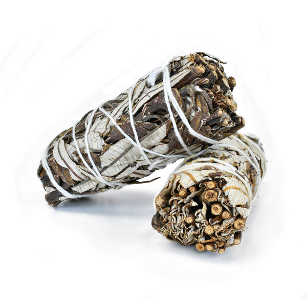 Λευκό Φασκόμηλο με Yerba Santa – Λιβάνι 20-30g (πακέτο)