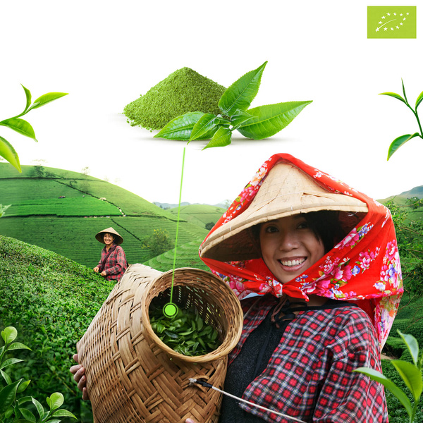 Mary Rose – Ιαπωνικό πράσινο τσάι Matcha (BIO) 100 g