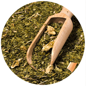 Σετ Yerba Mate Verde Mate Cactus de Juarez 500g