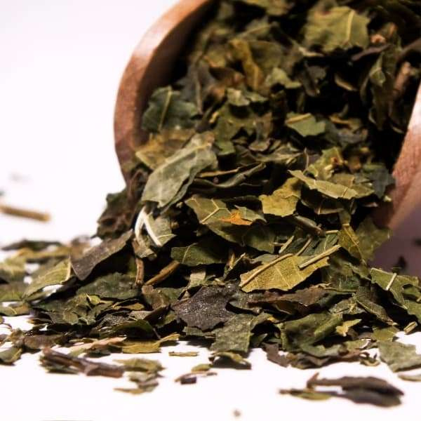 Vivarini - Μουριά (φύλλο) 50g