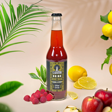Ποτό φρούτων Guarani Sabor Citrus 330ml