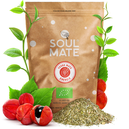 Yerba Soul Mate Energia 500g Thermos Set 7.0 