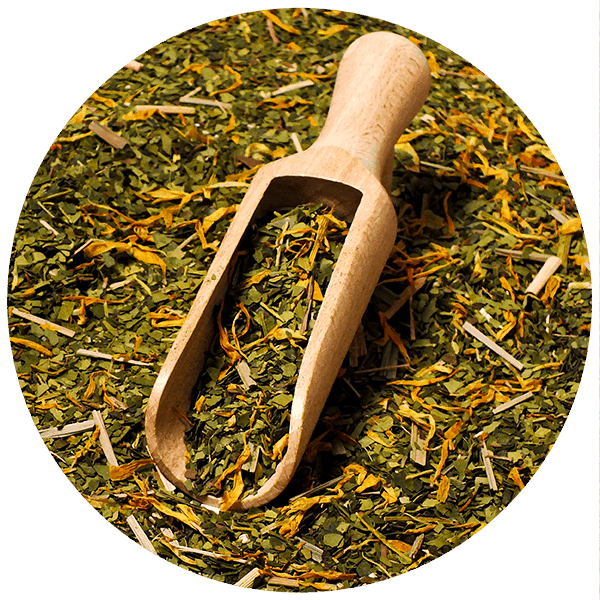 Verde Mate Green Sarsaparilla 0,5 κιλά