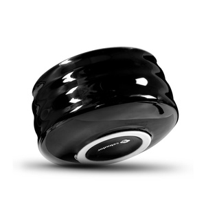 ΠΡΕΜΙΟΥΜ σετ παρασκευής τσαγιού matcha: ιαπωνική βιολογική matcha 30g + αξεσουάρ