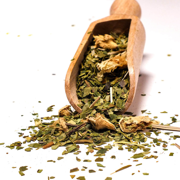 Σετ δώρου Yerba Mate Verde Mate Cactus 0,5kg