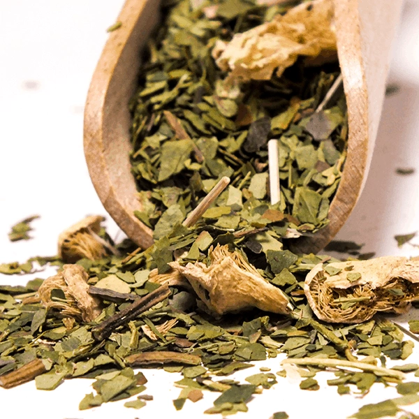 Verde Mate Green Cactus de Juarez - Ingredients