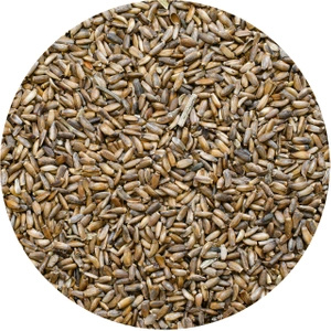 Vivarini - Γαϊδουράγκαθο (σπόροι) 1 kg