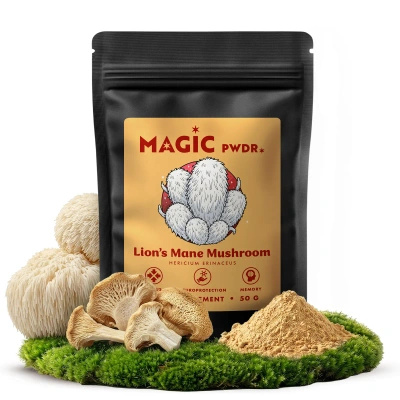 Magic Pwdr – Lion’s Mane – Μανιτάρι Χαίτη Λέοντος 50 γρ.