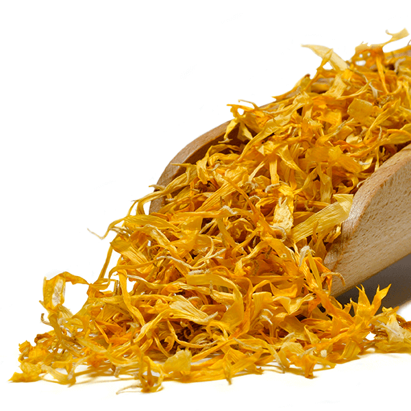 Mary Rose - Άνθος καλέντουλας (πέταλα) 10 g