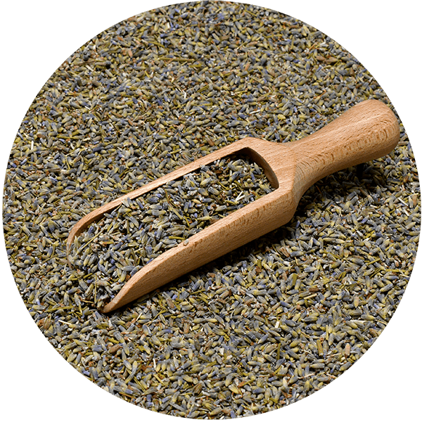 Mary Rose - Λεβάντα 25 g (βιολογική)