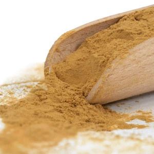 Magic Pwdr – Chaga 50 γρ.