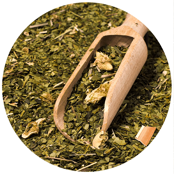 Σετ Yerba Mate Verde Mate Cactus de Juarez 500g