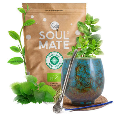 Σετ Yerba Mate Soul Mate 500γρ 0,5κιλά Καλαμπάς  + Bombilla