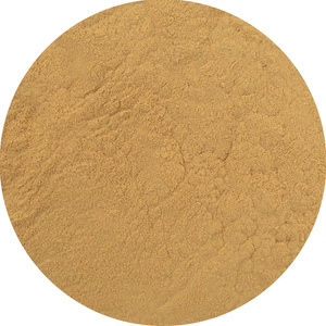 Magic Pwdr – Reishi 100 γρ.