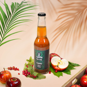 Guarani Drink – Κρύο Έγχυμα Yerba Mate – Clasica 330 ml