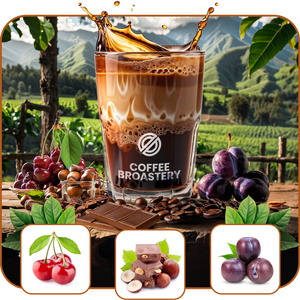 Bro Coffee Roastery - Καφές ολόκληρος Costa Rica San Rafael Speciality 1 κιλό
