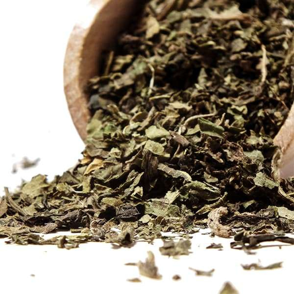 Vivarini - Βατόμουρο (φύλλο) 20g