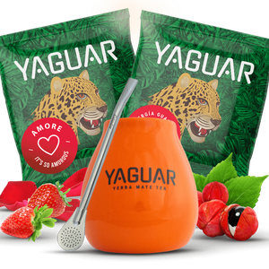 Σετ Yerba Mateo + Bombilla για να ξεκινήσετε